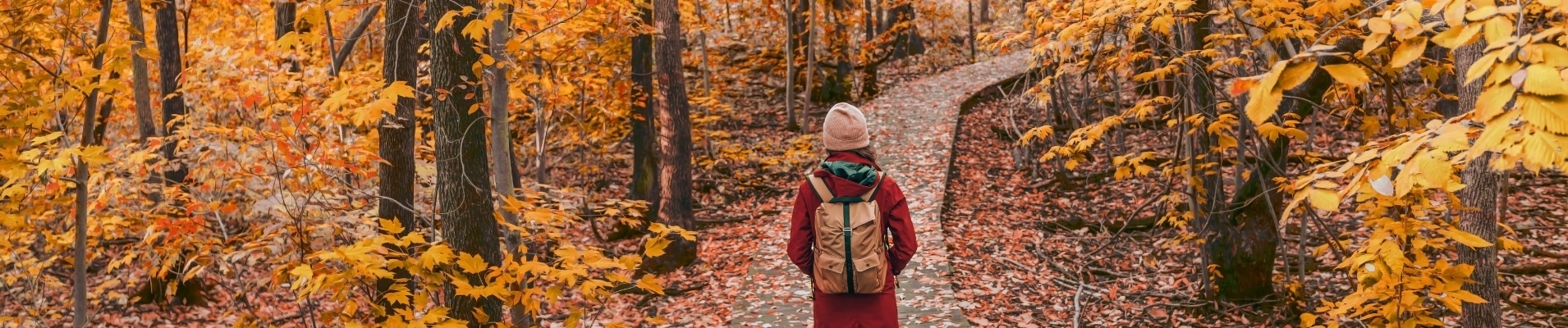herfstkamperen-the-camper-rent